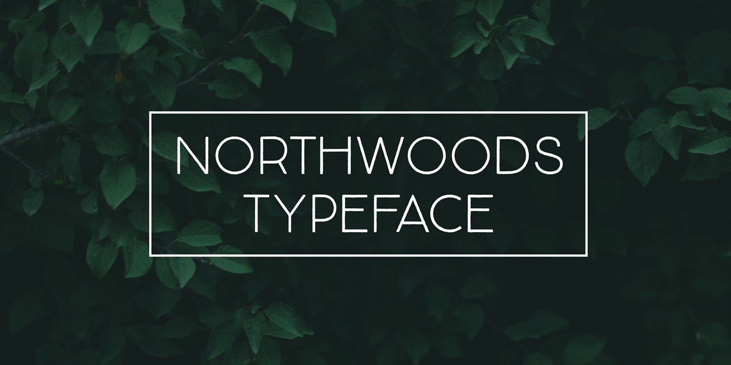 Beispiel einer Northwoods Thin Italic-Schriftart